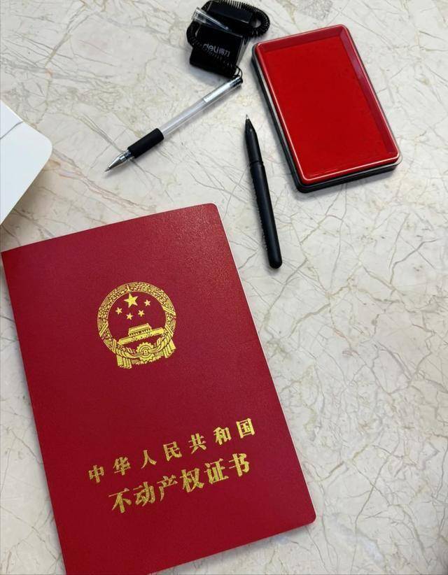 公司环境与团队